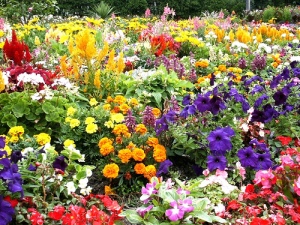 garden florals